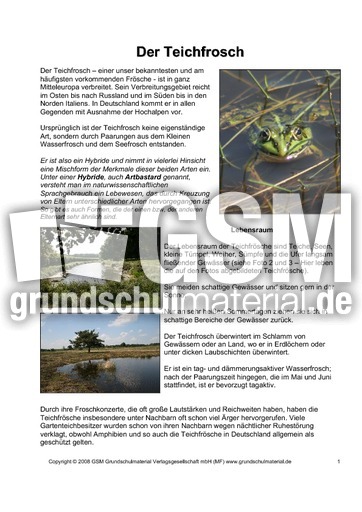 Steckbrief-Teichfrosch-Seite-1.pdf
